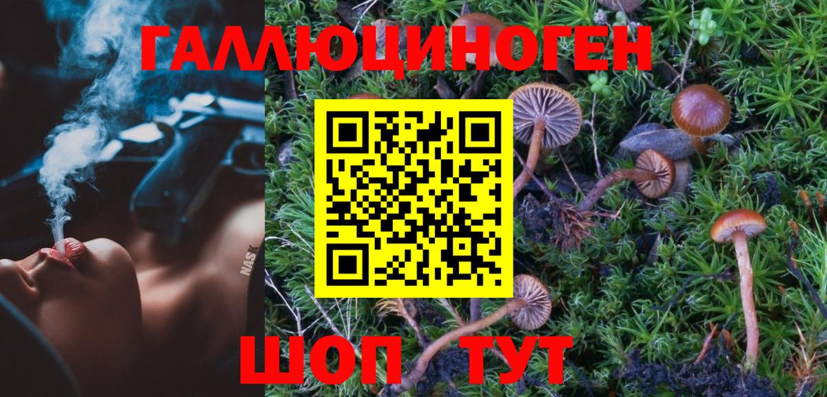 Псков  Галлюциногенные грибы Magic Shrooms  Вход с VPN 